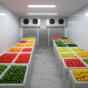 Cold Storage Construction Panels
